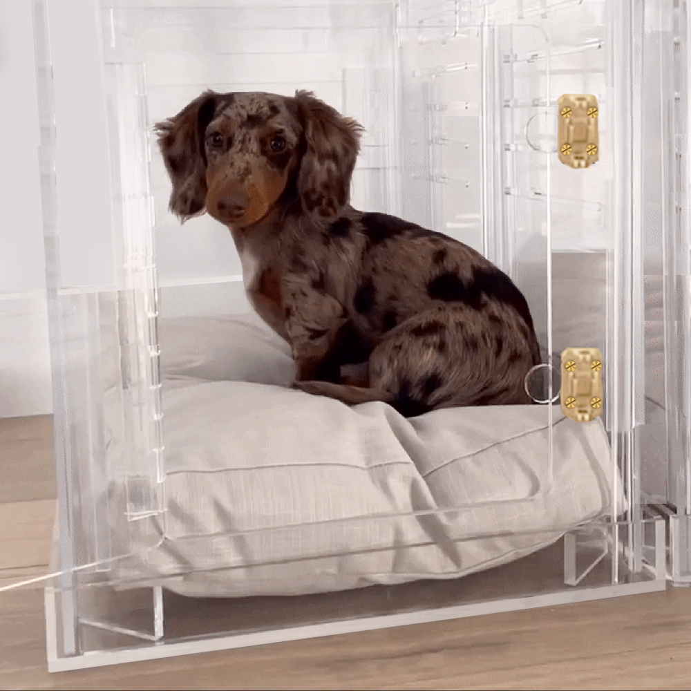 Small Crate (Gold Latch)