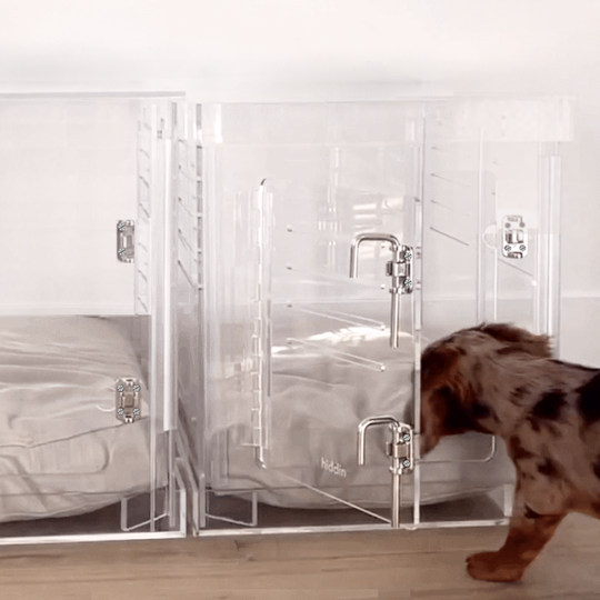 Small Crate (Silver Latch)