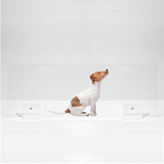 Low Panel Gate, 42 and 48"