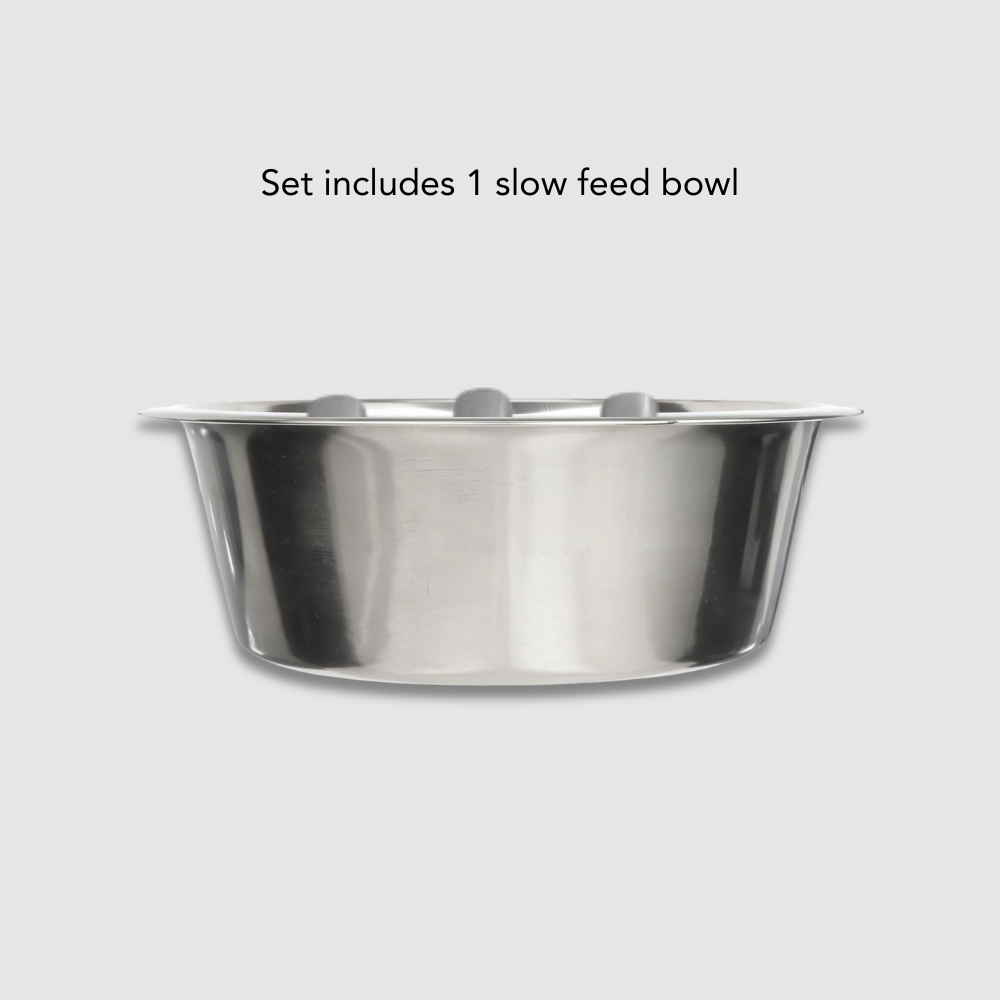 Clear Double Feeder with Slow Feed & Water Bowl | Options