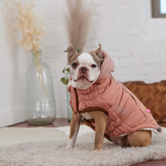 Classic Dog Parka | Options