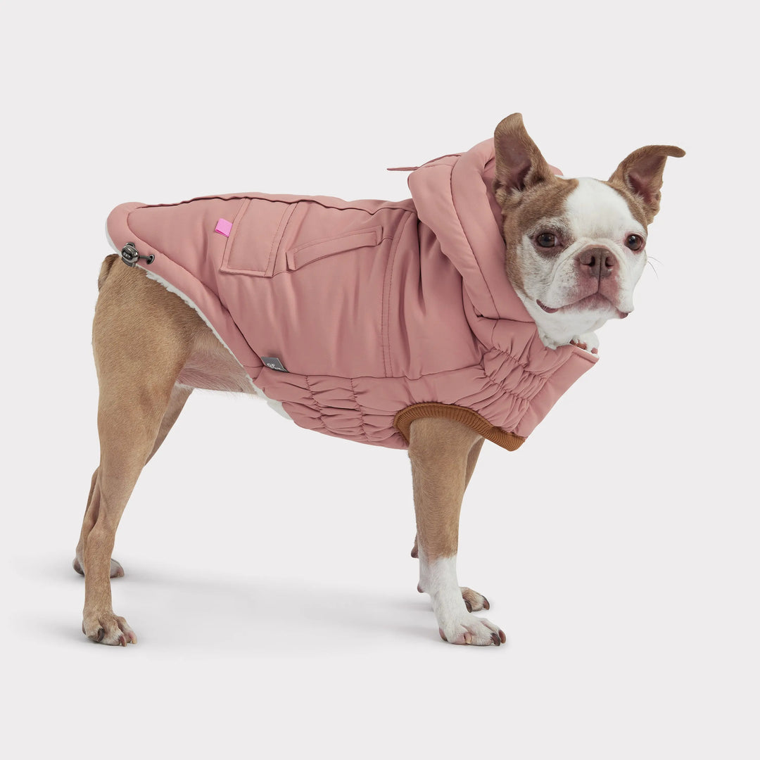 Classic Dog Parka | Options