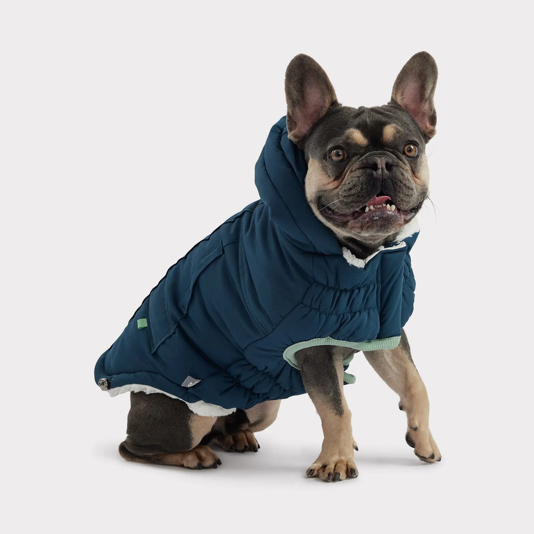 Classic Dog Parka | Options