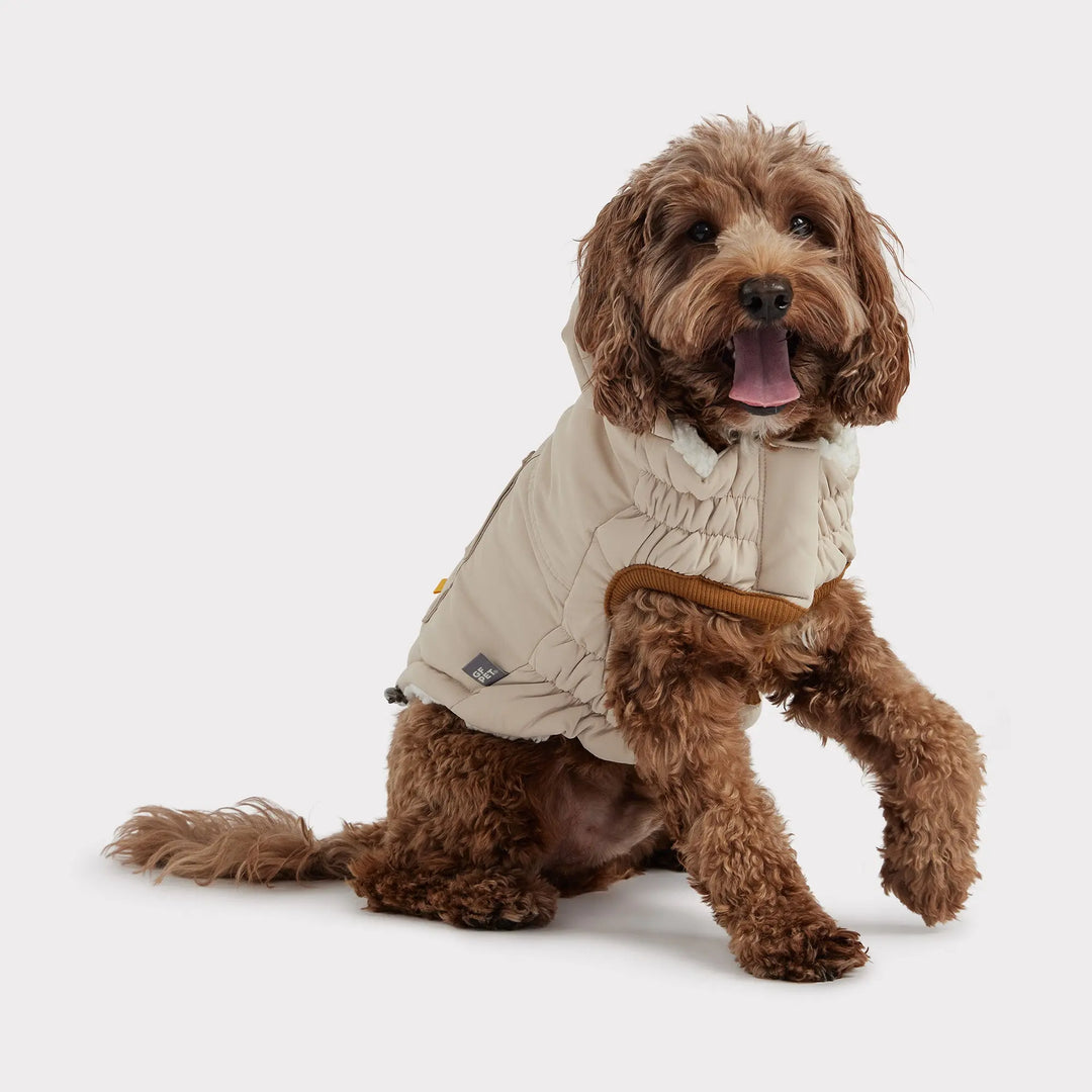 Classic Dog Parka | Options