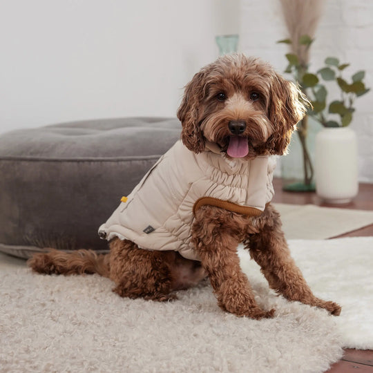 Classic Dog Parka | Options