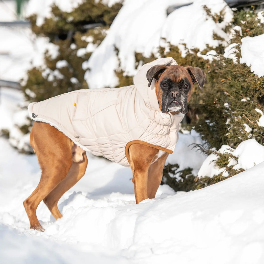 Classic Dog Parka | Options