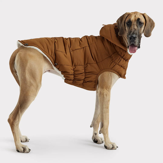 Classic Dog Parka | Options