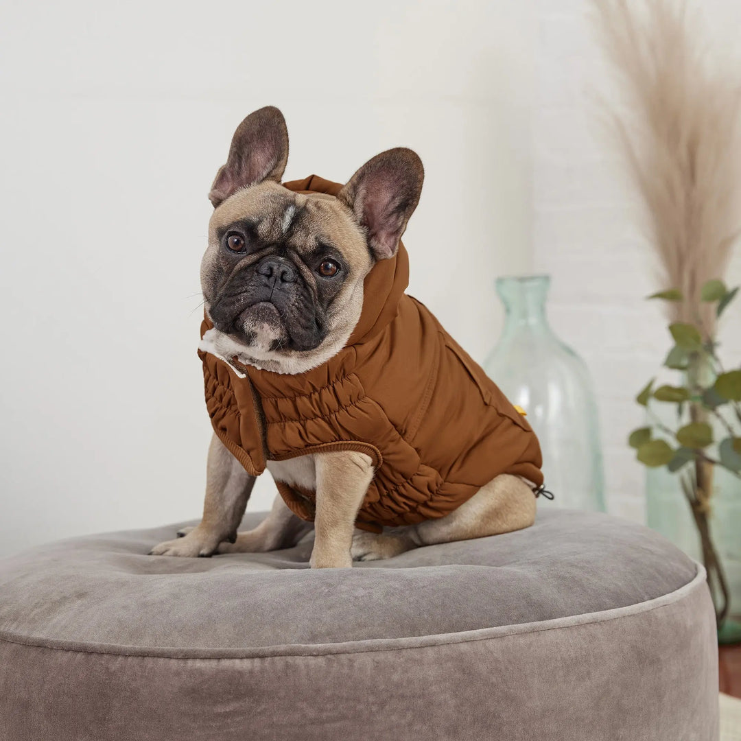 Classic Dog Parka | Options