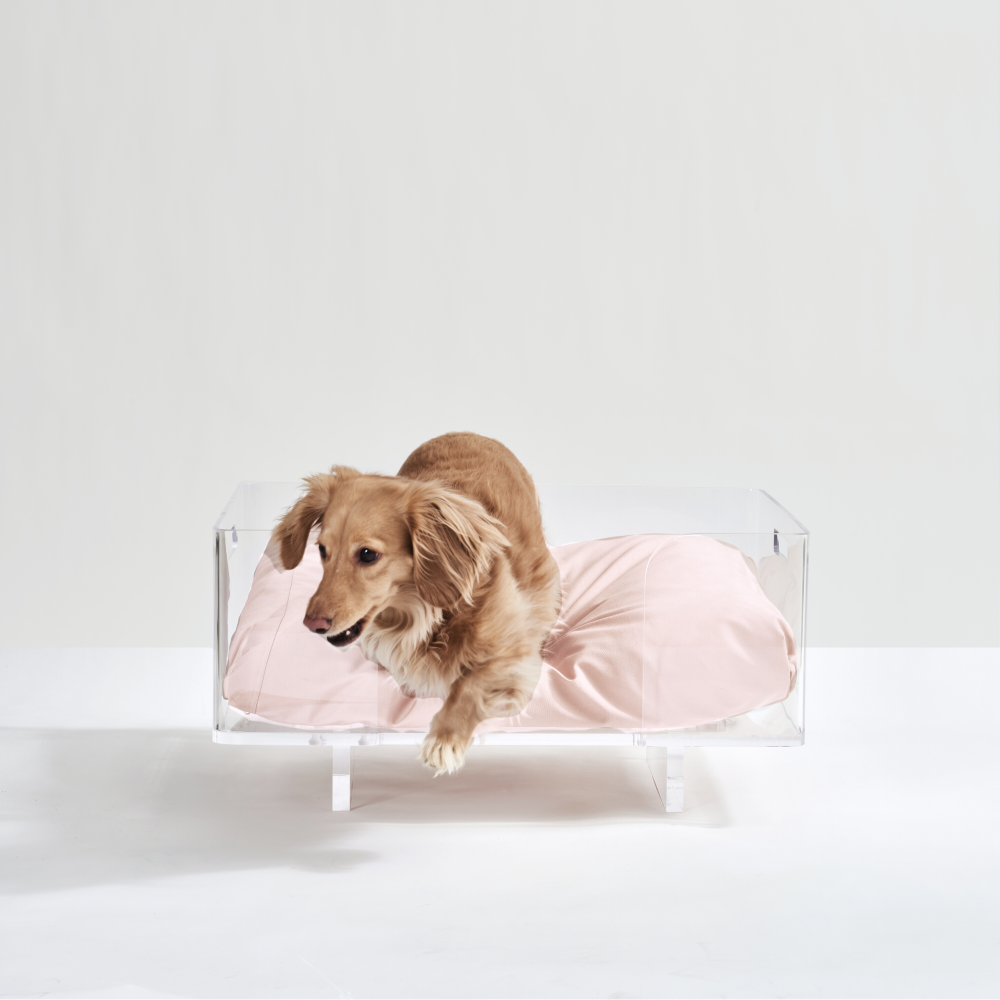 Clear Rectangular Lucite Dog Bed