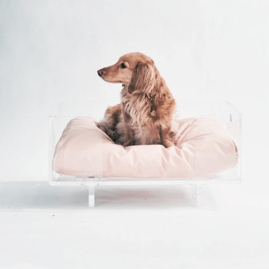 Clear Rectangular Lucite Dog Bed