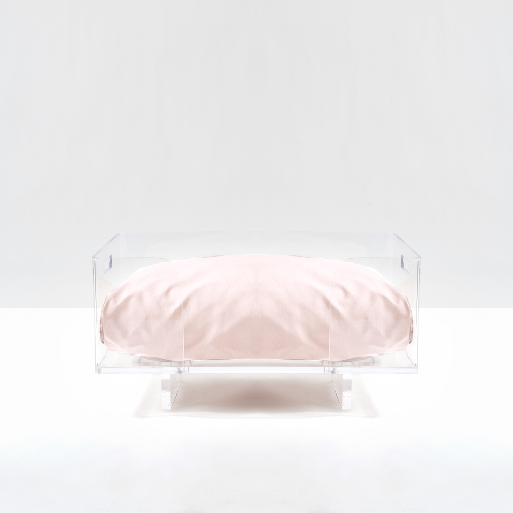 Clear Rectangular Lucite Dog Bed