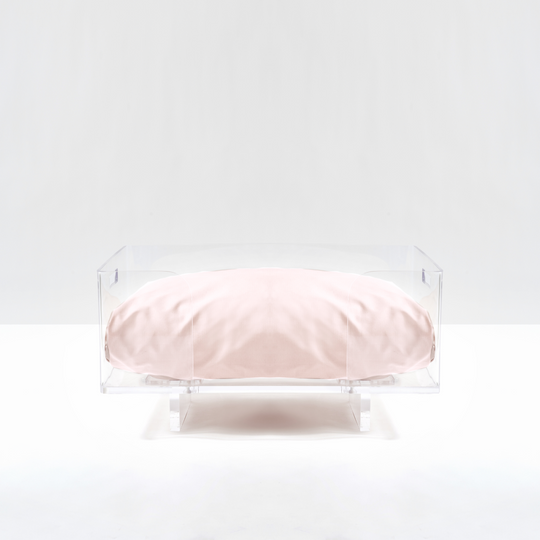 Clear Rectangular Lucite Dog Bed