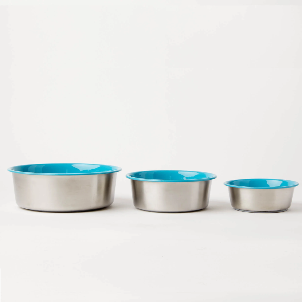 Small Double Feeder with Slow Feed Bowls | Options