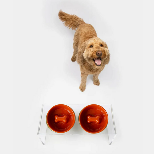 Medium Double Feeder with Slow Feed Bowls | Options