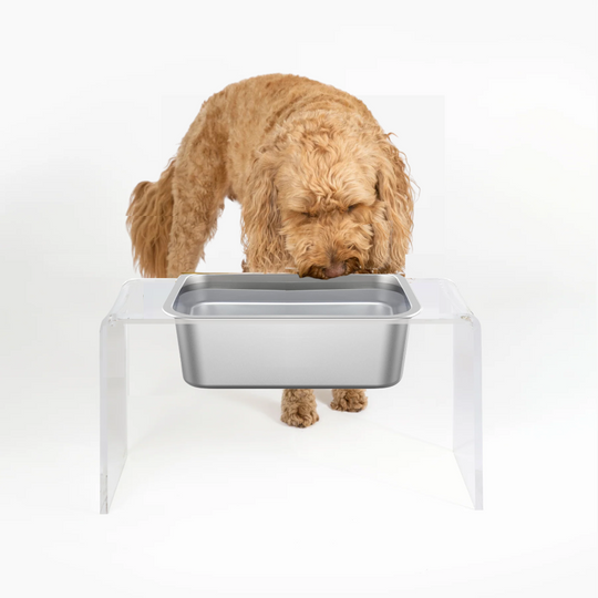 Clear Trough Dog Bowl Feeder | Options