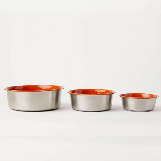 Small Double Feeder with Slow Feed Bowls | Options