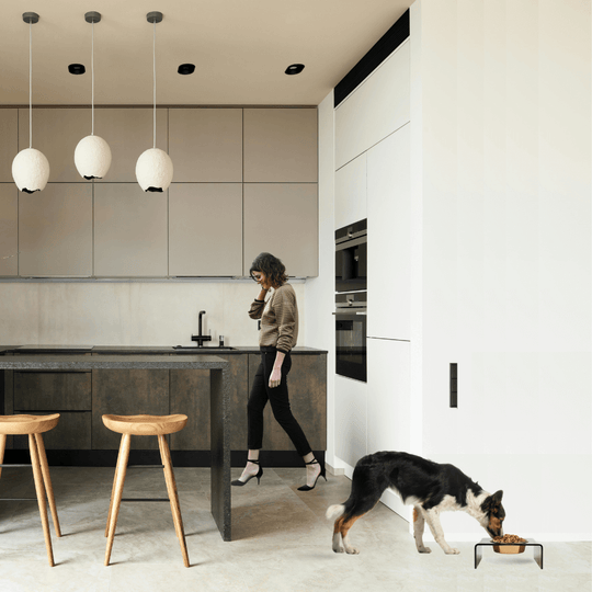 Single Bronze Feeder