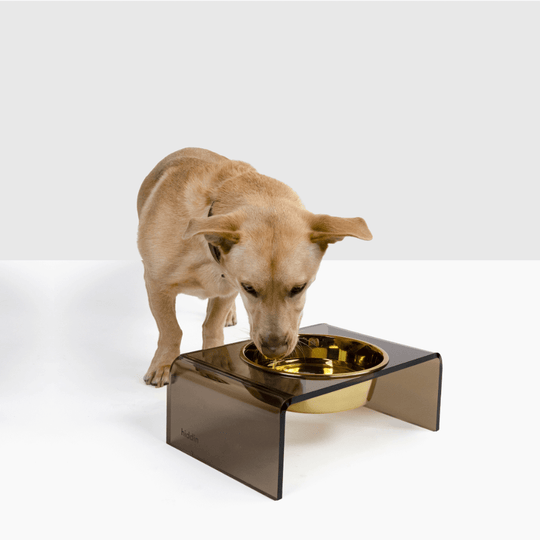 Single Bronze Feeder