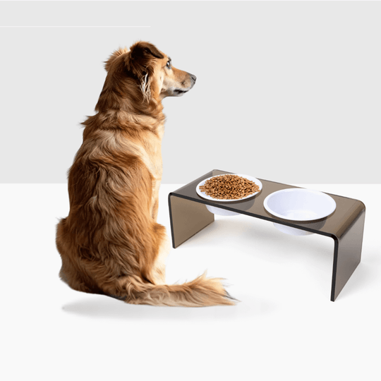 Medium Bronze Feeder