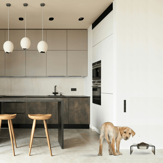 Single Bronze Feeder