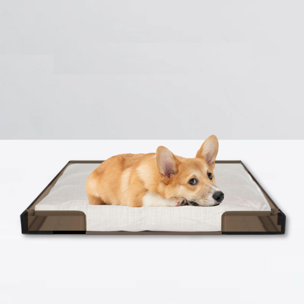 Bronze Lucite Pet Tray Bed | Options