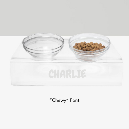 Personalized Slanted Glass Bowl Feeder | Options