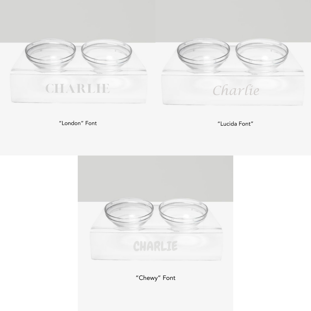 Personalized Slanted Glass Bowl Feeder | Options