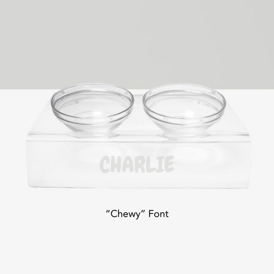 Personalized Slanted Glass Bowl Feeder | Options