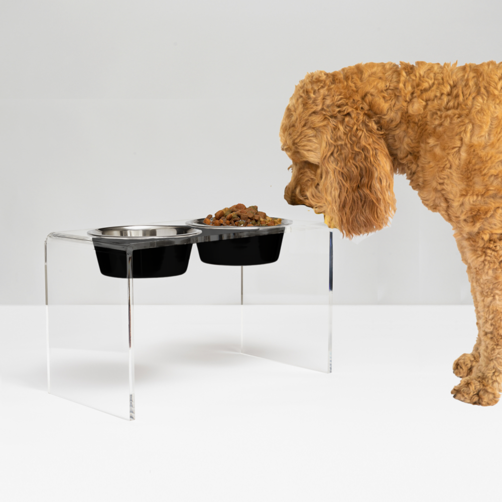 Tall Clear Double Pet Bowl Feeder with Glam Bowls | Options