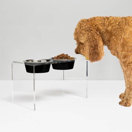 Tall Clear Double Pet Bowl Feeder with Glam Bowls | Options