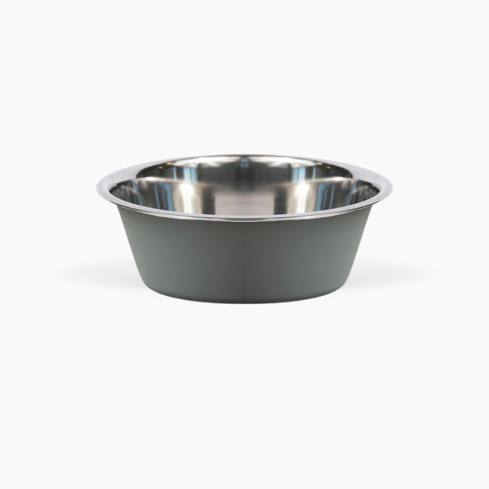 Clear Double Pet Bowl Feeder with 2 Tone Bowls | Options