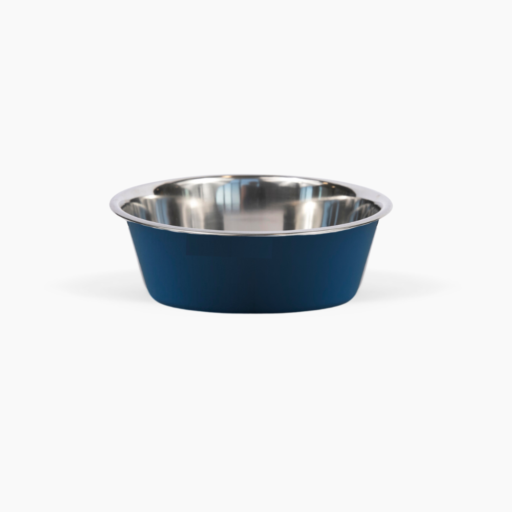 Clear Double Pet Bowl Feeder with 2 Tone Bowls | Options