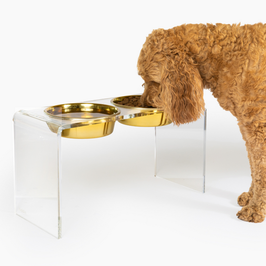 Tall Clear Double Pet Bowl Feeder with Gold Bowls