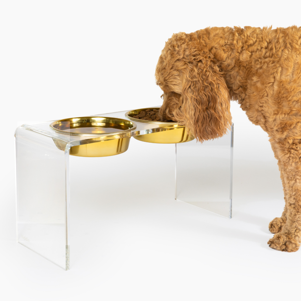 Tall Double Feeder with Gold Bowls Pet Bowl Feeder Hiddin