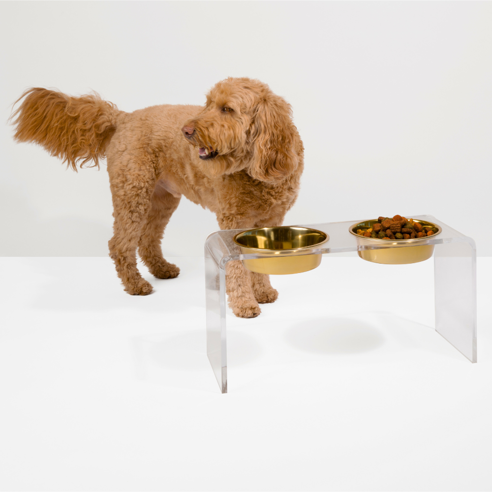 Tall Clear Double Pet Bowl Feeder with Gold Bowls