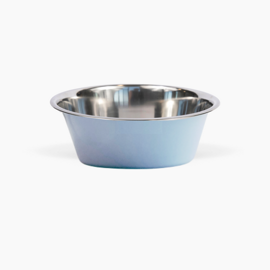 Clear Double Pet Bowl Feeder with 2 Tone Bowls | Options