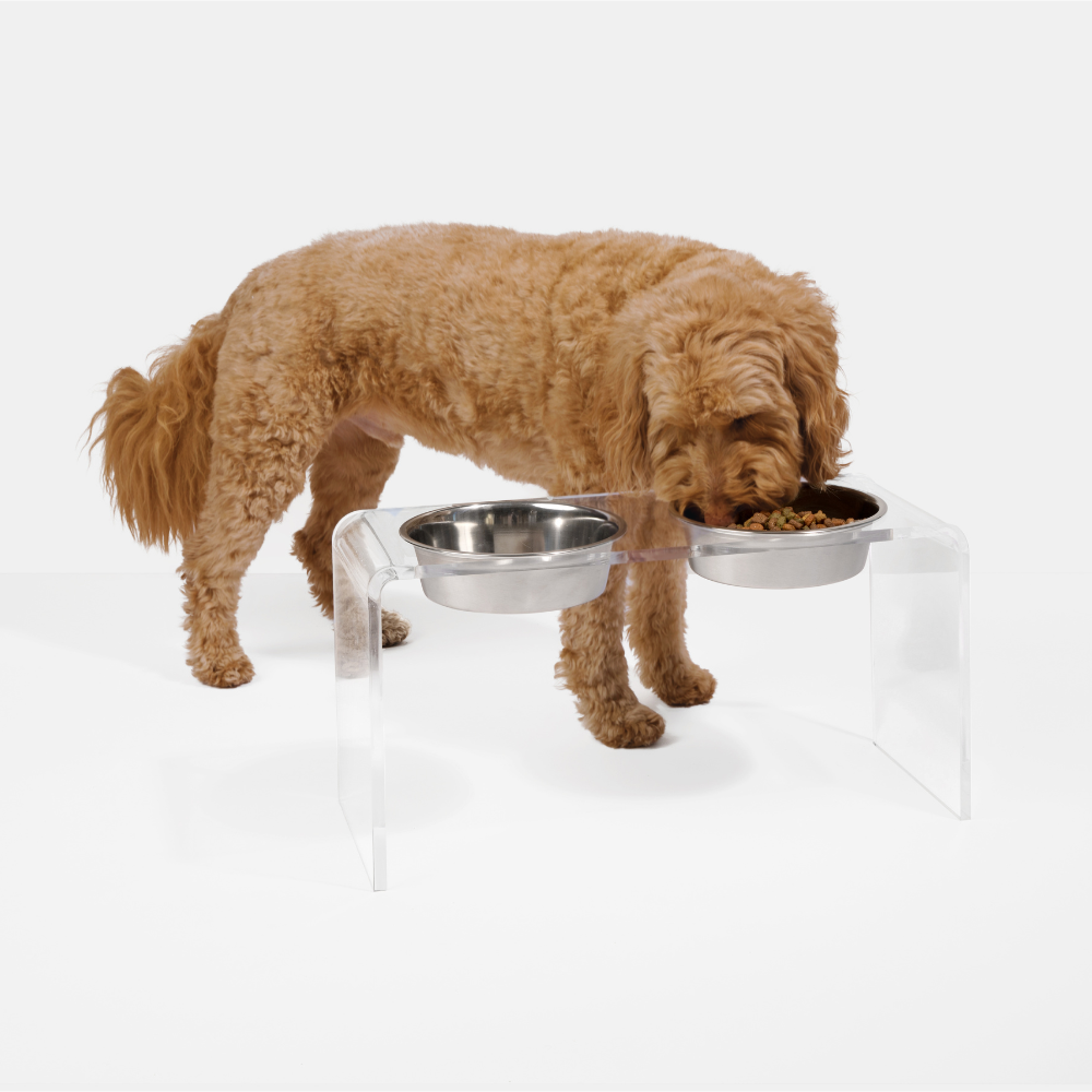 Tall Clear Double Pet Bowl Feeder with Silver Bowls