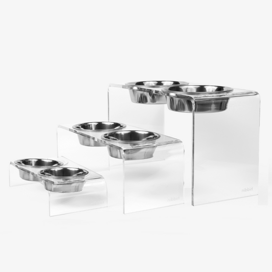 Tall Clear Double Pet Bowl Feeder with Silver Bowls