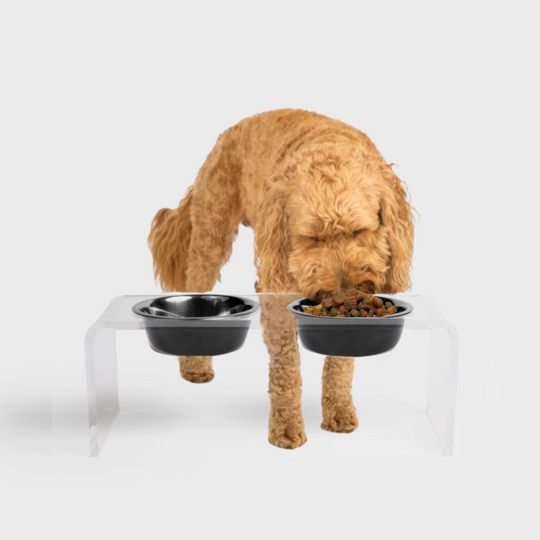 Clear Double Pet Bowl Feeder with Glam Bowls | Options