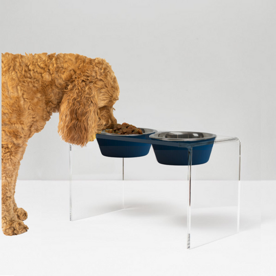 Tall Double Pet Bowl Feeder with 2 Tone Bowls | Options