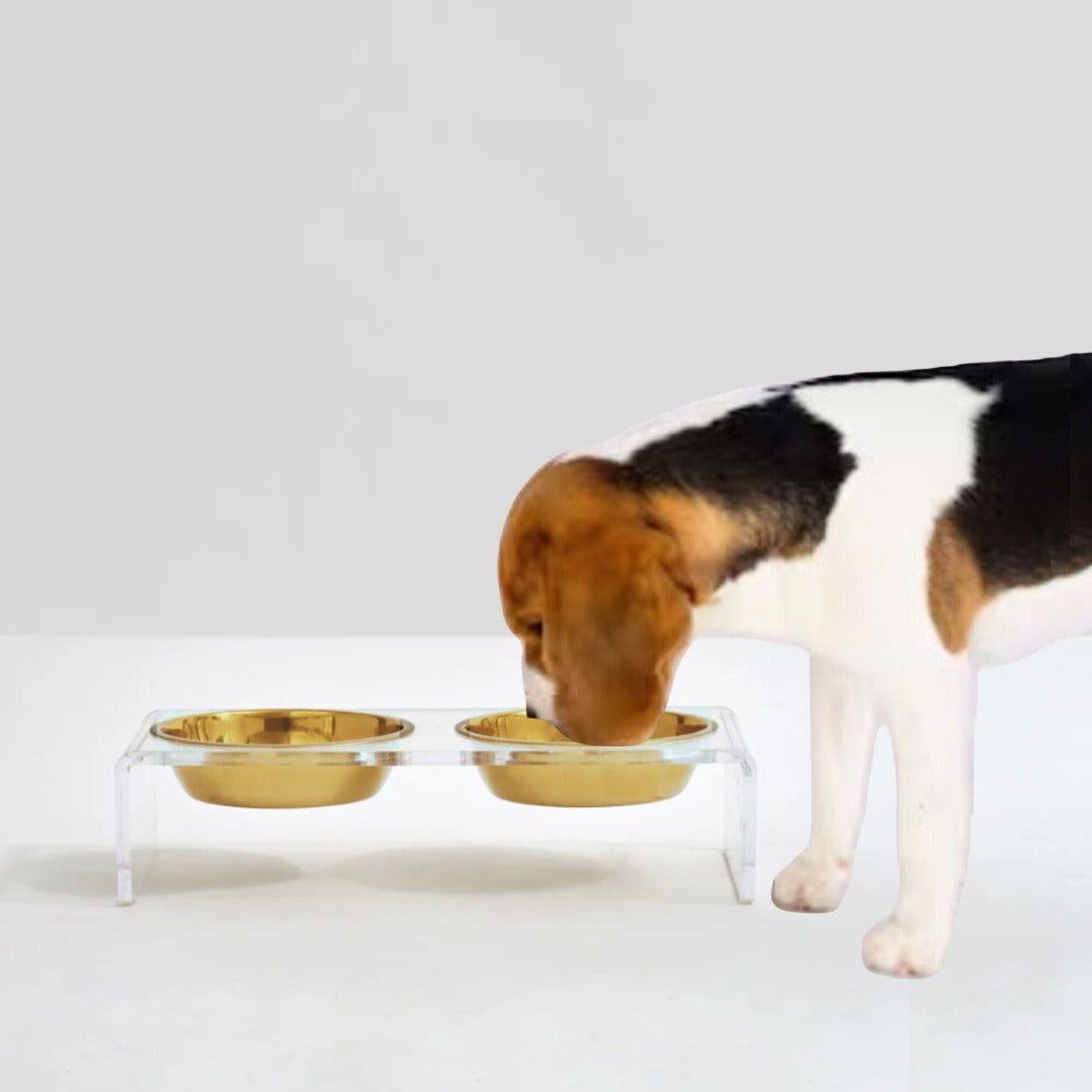 Small Clear Double Pet Bowl Feeder with Gold Bowls | Options