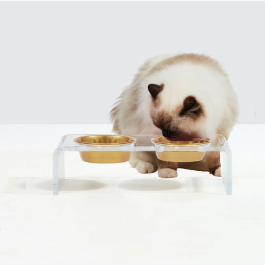 Small Clear Double Pet Bowl Feeder with Gold Bowls | Options