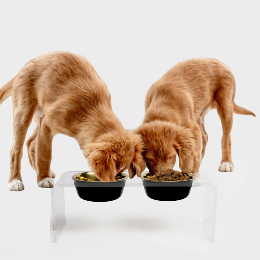 Clear Double Pet Bowl Feeder with Glam Bowls | Options