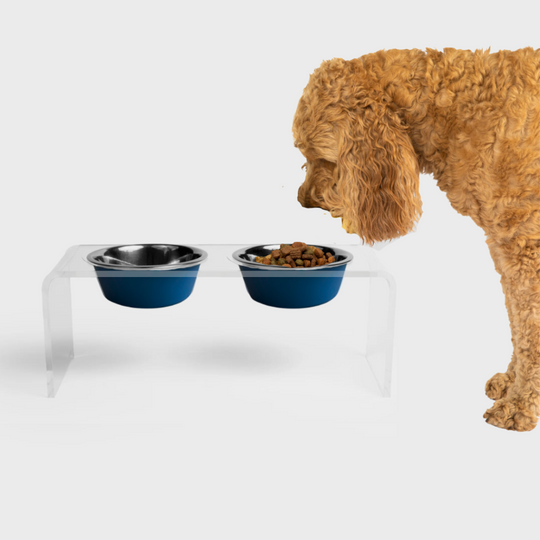 Clear Double Pet Bowl Feeder with 2 Tone Bowls | Options