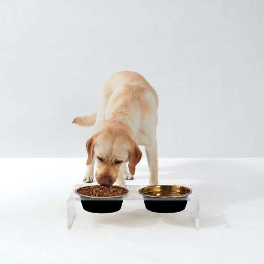 Clear Double Pet Bowl Feeder with Glam Bowls | Options