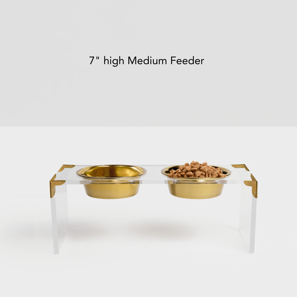 Campaign Corners Gold Feeder