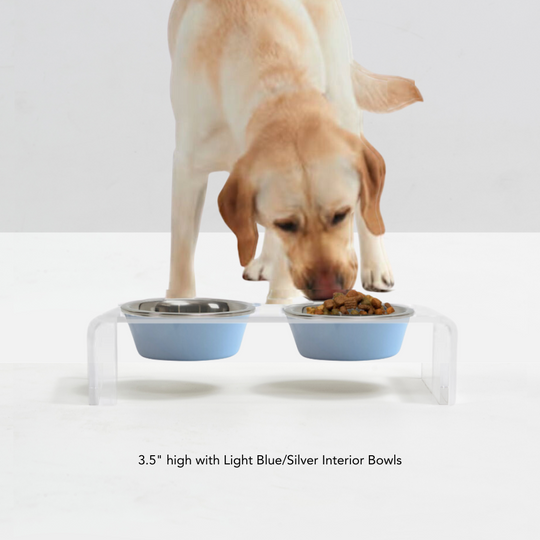 Clear Double Pet Bowl Feeder with 2 Tone Bowls | Options