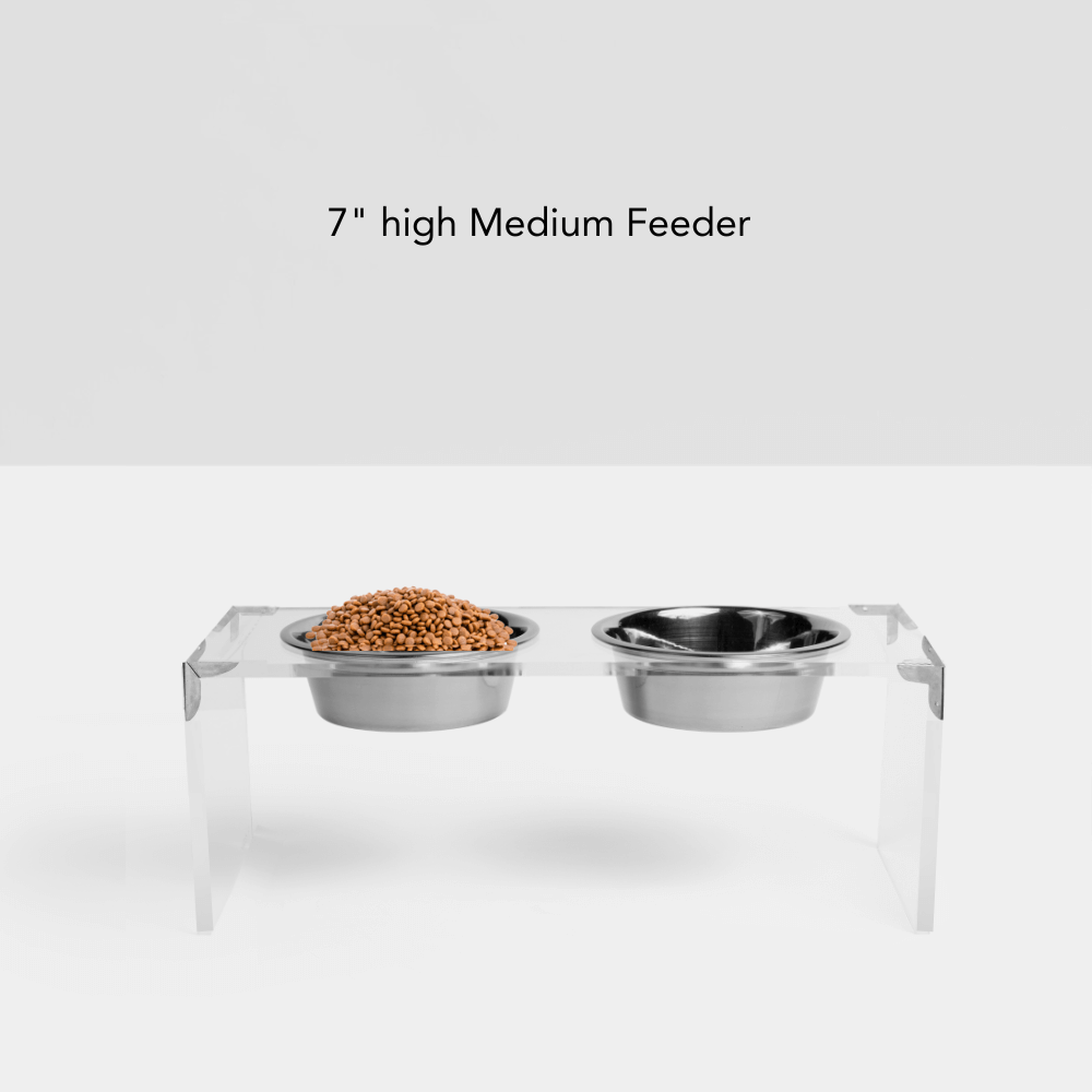 Campaign Corners Silver Feeder
