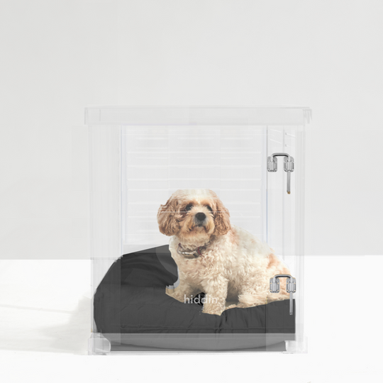 Medium Crate (Silver Latch)