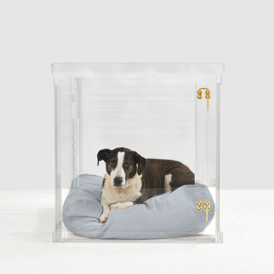 Clear Dog Crate to Gate | Medium